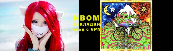амф Козельск