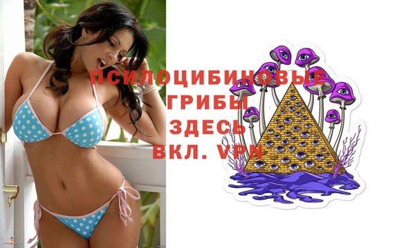 твердый Коряжма