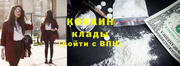 твердый Коряжма
