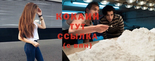 твердый Коряжма