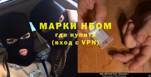 твердый Коряжма